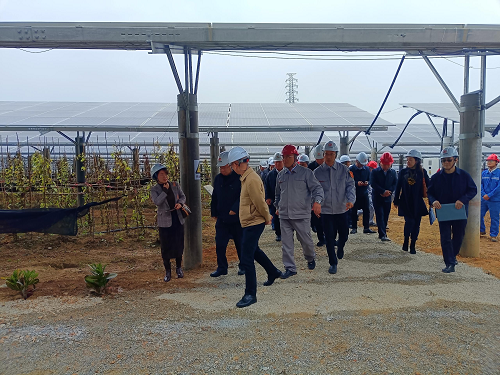 省工業和信息化廳副廳長吳東文及縱向幫扶組團單位一行到葵潭農場調研3.png